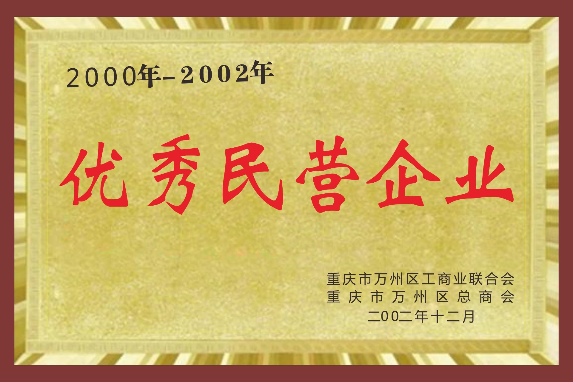 优秀民营企业