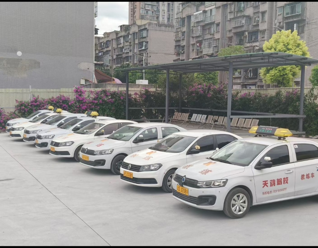 龙都分校 · 教练车队